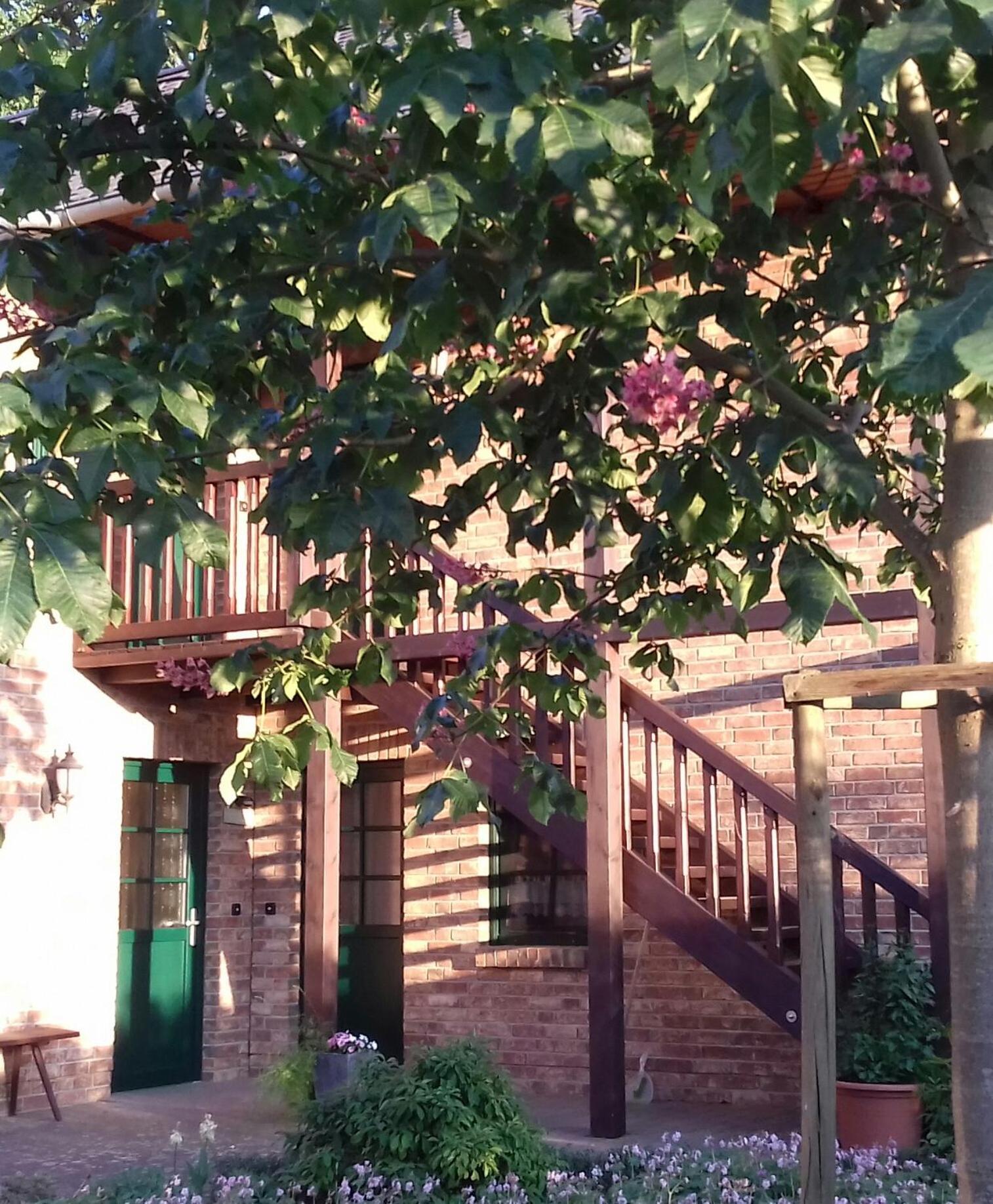 Appartamento Kastanienhof Burg  Esterno foto
